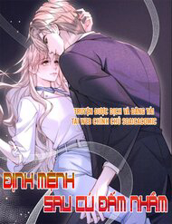 Định Mệnh Sau Cú Đấm Nhầm